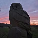 Peter Stephens - @petestephens9 - Instagram