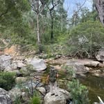 Peter Stephens - @pete_stephens6 - Instagram