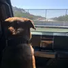 peter sullivan - @peter.sulli - TikTok