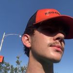 peter vandermeer - @its.not.pete - Instagram