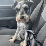 Pete Wagner - @crashwagner - Instagram
