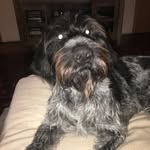 Pete Weaver - @jazzbrock5 - Instagram
