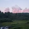 Pete Weber - @pete.weber1 - TikTok