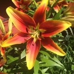 pete webster - @petesquest - Instagram