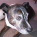 Pete Whitfield - Facebook