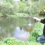 Pete Wilkins - @petewilkins4fishing - Instagram