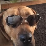 Pete Woods - @pwoods73 - Instagram