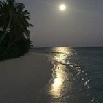 Pete Woods - @woods.pete - Instagram