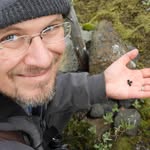 Pete Woods - @trametes29 - Instagram