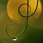 PeTe Yang - Facebook