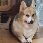 Peter Yang - @peter.yang.71 - Instagram