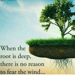 Peter Abdallah - @peterabdallah152 - Instagram