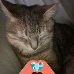 Peter Abernathy - @peter.abernathy.3990 - Instagram