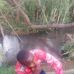 Peter Absalom - Facebook