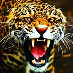 Peterson absalom - @peterson.absalom - Instagram