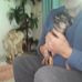 Peter Ashley - Facebook
