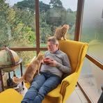 Peter Ahl - Facebook