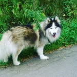 peter ahlke - @peterahlke - Instagram