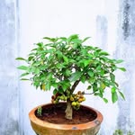 Peter Akpan - @peter.akpan.7528610 - Instagram