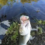 Peter Albo - @thunderhead169 - Instagram