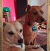 Peter Alcala - Facebook