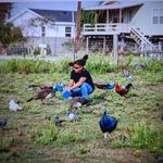 Pete Alcocer - @alcocerpete - Instagram