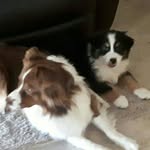 Peter Alderson - @peteralderson0013 - Instagram