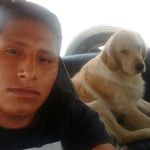 Peter Aldo Chavez Nava - @peterter921721719 - Instagram