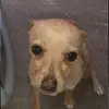 Peter Aldrich - @peteraldrich795 - TikTok