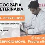 Peter Alexis Flores Jáuregui - @dr.peter.flores - Instagram