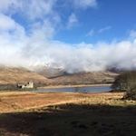 Peter Alison - @petealison - Instagram