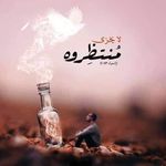 Peter Alpert - @peteralpert51 - Instagram
