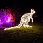 Peter Alsleben - Facebook