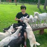 Peter Alves - @peteralves52 - Instagram