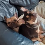 pete alway - @peteralway1957 - Instagram