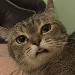 peter amarald lase - @peteramarald - Instagram