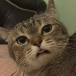 peter amarald lase - @peteramarald - Instagram