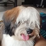 Peter Amber Rivera - @peteramberrivera - Instagram