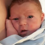 Peter Amendola - @amendolapeter - Instagram