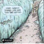 Peter D'Amico - @gpeterdamico - Instagram
