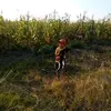 Petra Anastacio - @petra.anastacio - TikTok