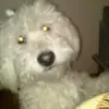 Peter Anaya - @peter.anaya57 - TikTok