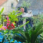 Peter Andres - @pittiplatsch74 - Instagram