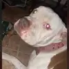 Peter Anthony V - @peter.vll - TikTok