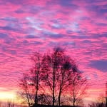 Peter Antonenko - @peterantonenko - Instagram
