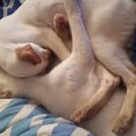 Peter Apps - @peterapps1 - Instagram