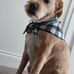 Peter Apps - Facebook