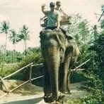 Peter Arapis - Facebook