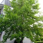 armbruster peter - @peter.armbruster - Instagram