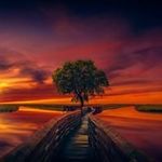 Peter Armbruster - @peter.armbruster.359 - Instagram